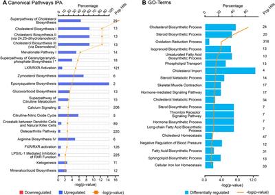 Analysis of Upstream Regulators, Networks, and Pathways Associated With the Expression Patterns of Polycystic Ovary Syndrome Candidate Genes During Fetal Ovary Development